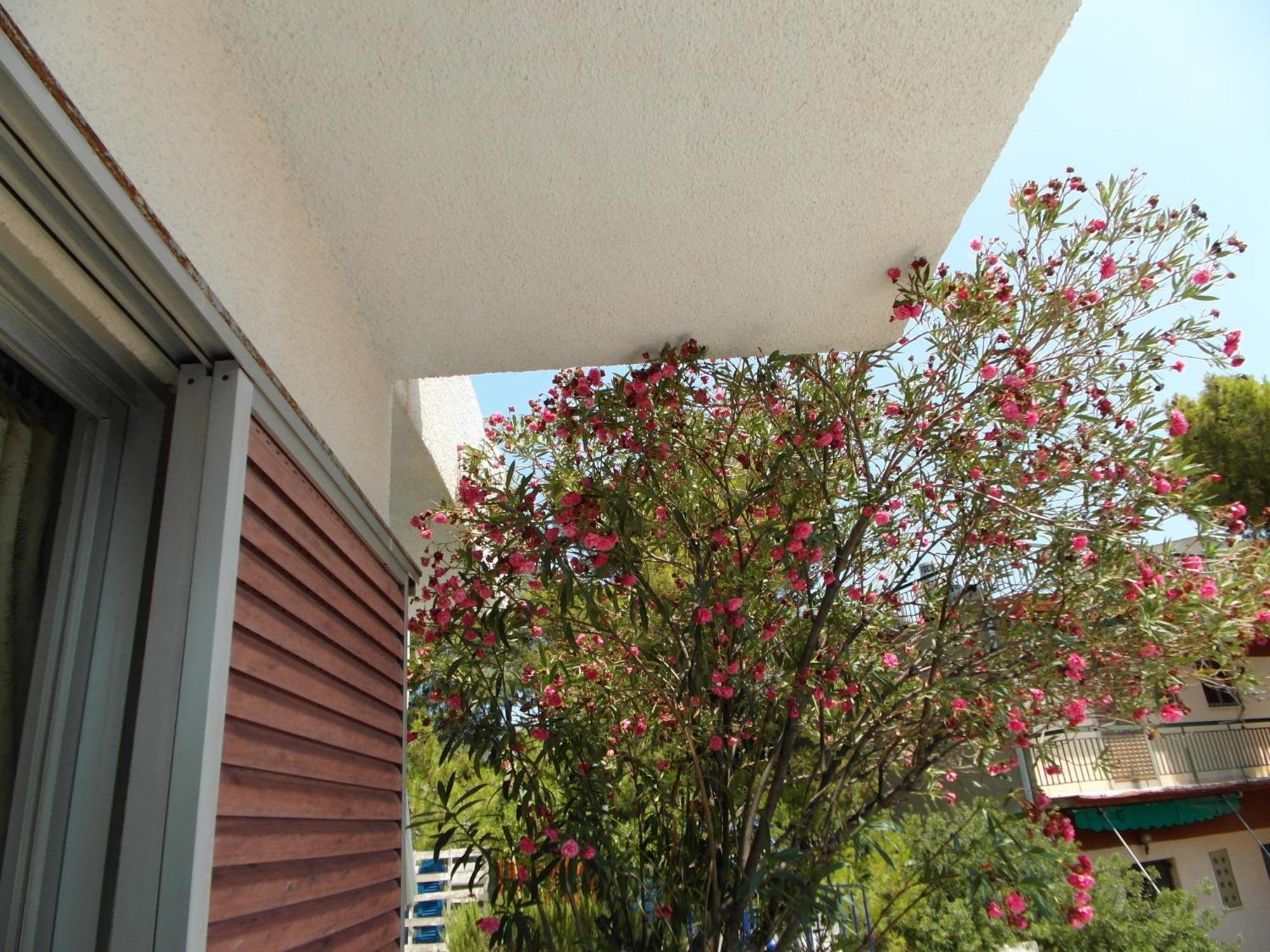Eri Studios Agia Marina  Kamer foto